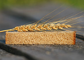 vision inspection of bread